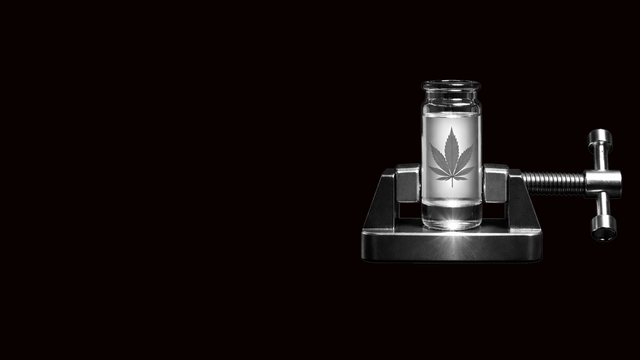 A vial with a marijuana leaf held in a metal vise. Marijuana DUI. Their Assumption: THC and alcohol caused impairment. Pressure Point: The science did not support the conclusion. What Broke: The impairment narrative collapsed. Marijuana evidence suppressed.