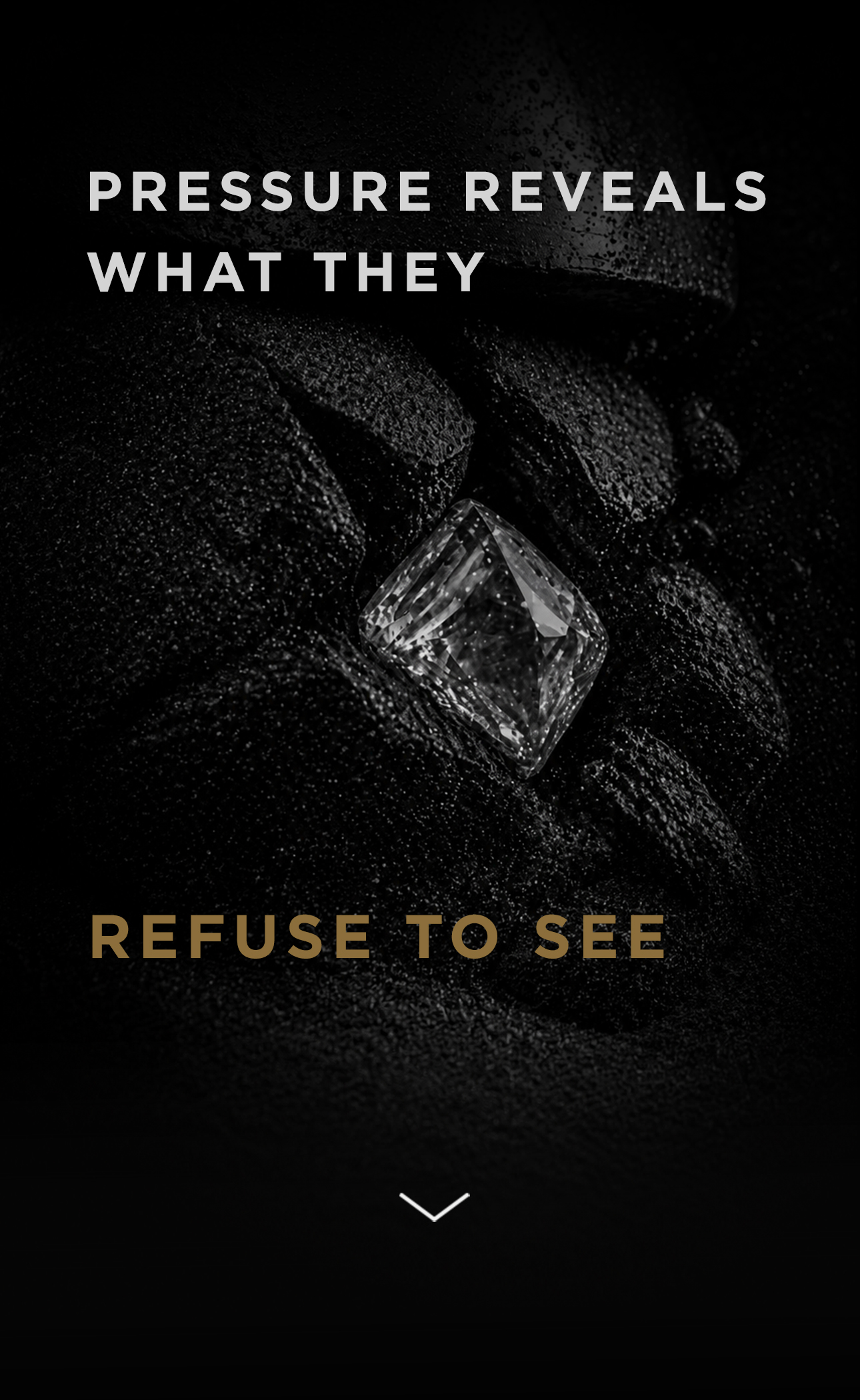 A diamond emerging from black coal under pressure. Pressure reveals what they refuse to see.